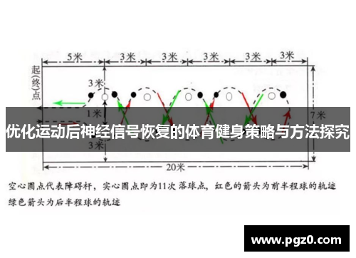 优化运动后神经信号恢复的体育健身策略与方法探究
